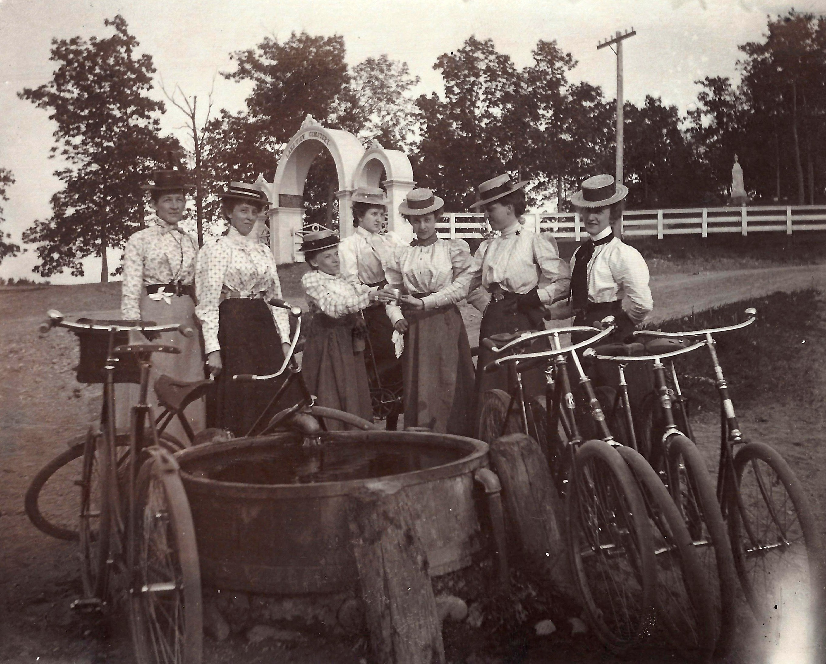 visitors